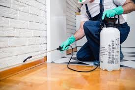 Real Estate Pest Inspections in Castle Hills, TX